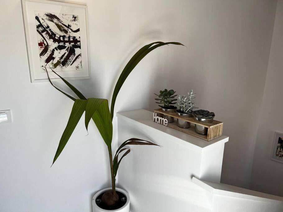 2B-Precioso Apartamento En Pleno Centro. A Estreno Alcazar de San Juan Ngoại thất bức ảnh